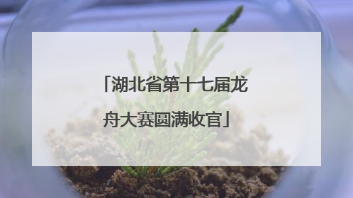 湖北省第十七届龙舟大赛圆满收官