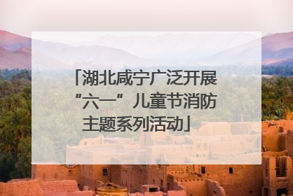 湖北咸宁广泛开展“六一”儿童节消防主题系列活动