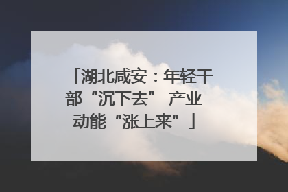 湖北咸安：年轻干部“沉下去” 产业动能“涨上来”