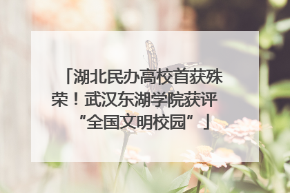 湖北民办高校首获殊荣！武汉东湖学院获评“全国文明校园”