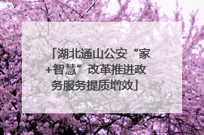 湖北通山公安“家+智慧”改革推进政务服务提质增效