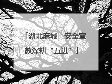 湖北麻城：安全宣教深耕“五进”