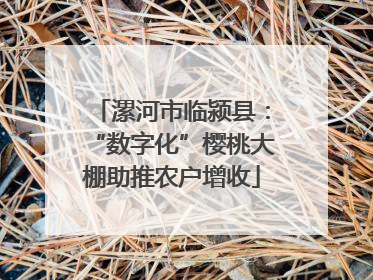 漯河市临颍县：“数字化”樱桃大棚助推农户增收