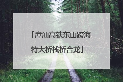 漳汕高铁东山跨海特大桥栈桥合龙