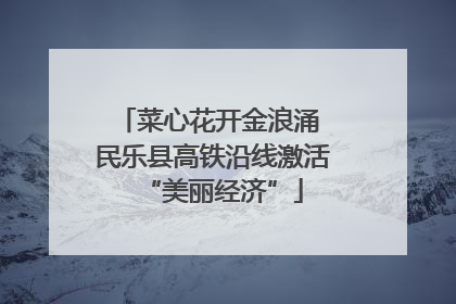 菜心花开金浪涌 民乐县高铁沿线激活“美丽经济”