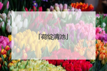 荷绽清池