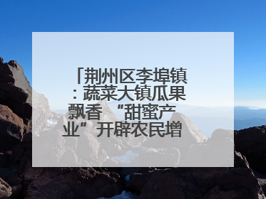 荆州区李埠镇：蔬菜大镇瓜果飘香 “甜蜜产业”开辟农民增收“新赛道”