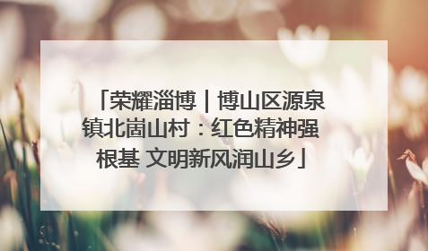 荣耀淄博｜博山区源泉镇北崮山村：红色精神强根基 文明新风润山乡