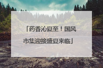药香沁夏至！国风市集迎接盛夏来临