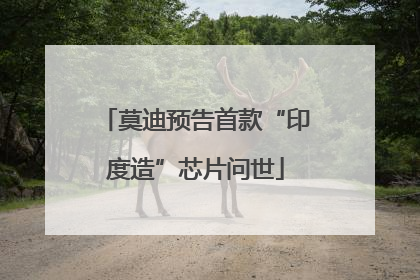 莫迪预告首款“印度造”芯片问世