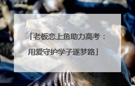 老板恋上鱼助力高考：用爱守护学子逐梦路