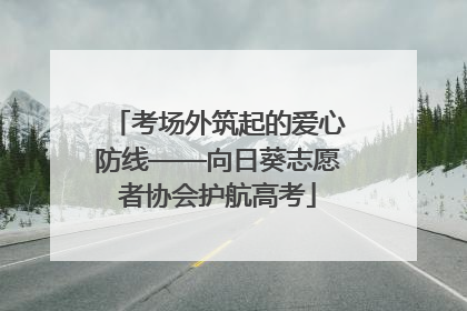 考场外筑起的爱心防线——向日葵志愿者协会护航高考