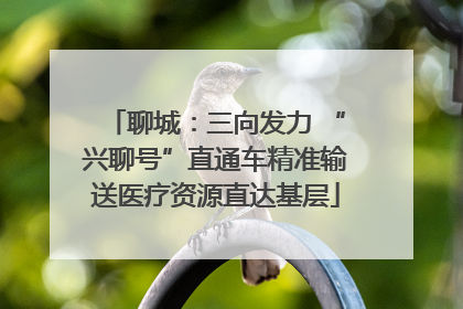 聊城：三向发力 “兴聊号”直通车精准输送医疗资源直达基层