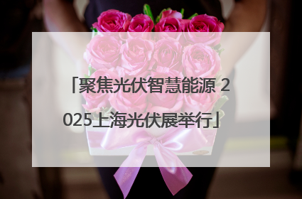 聚焦光伏智慧能源 2025上海光伏展举行