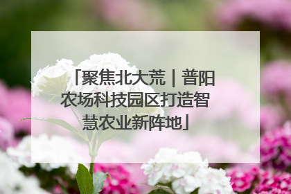聚焦北大荒｜普阳农场科技园区打造智慧农业新阵地