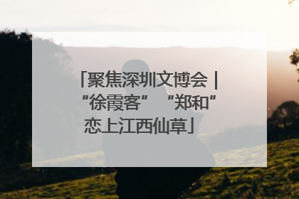 聚焦深圳文博会｜“徐霞客”“郑和”恋上江西仙草