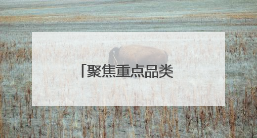 聚焦重点品类 青岛市农业行政执法支队开展农资网络执法巡查行动