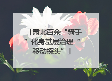 肃北百余“骑手”化身基层治理“移动探头”