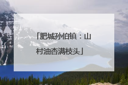 肥城孙伯镇：山村油杏满枝头