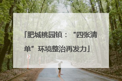 肥城桃园镇：“四张清单”环境整治再发力