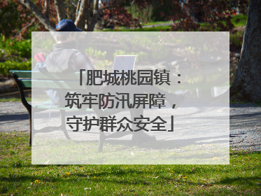 肥城桃园镇：筑牢防汛屏障，守护群众安全