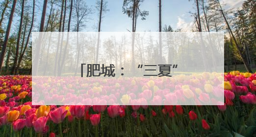 肥城：“三夏”时节金麦浪，供销服务助丰收