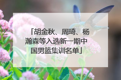 胡金秋、周琦、杨瀚森等入选新一期中国男篮集训名单