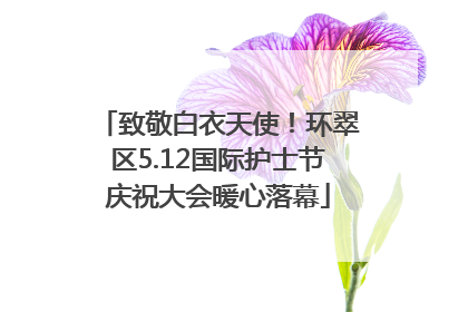 致敬白衣天使！环翠区5.12国际护士节庆祝大会暖心落幕