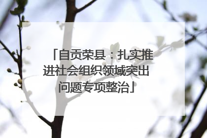 自贡荣县：扎实推进社会组织领域突出问题专项整治