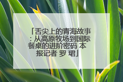 舌尖上的青海故事：从高原牧场到国际餐桌的进阶密码 本报记者 罗 珺