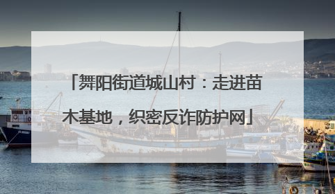 舞阳街道城山村：走进苗木基地，织密反诈防护网