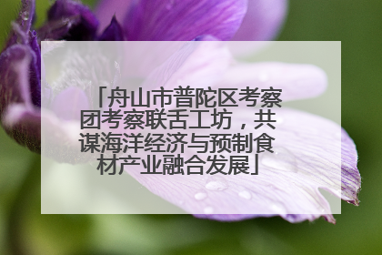舟山市普陀区考察团考察联舌工坊，共谋海洋经济与预制食材产业融合发展