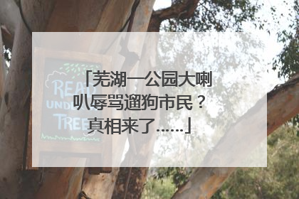 芜湖一公园大喇叭辱骂遛狗市民？真相来了……