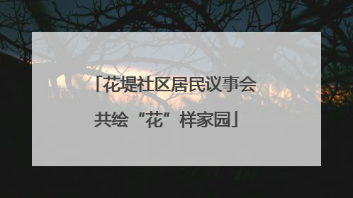 花堤社区居民议事会共绘“花”样家园