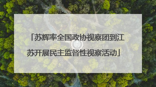 苏辉率全国政协视察团到江苏开展民主监督性视察活动