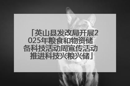 英山县发改局开展2025年粮食和物资储备科技活动周宣传活动 推进科技兴粮兴储