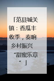 范县城关镇：香瓜丰收季，奏响乡村振兴 “甜蜜乐章”