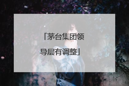 茅台集团领导层有调整