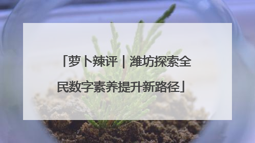 萝卜辣评｜潍坊探索全民数字素养提升新路径