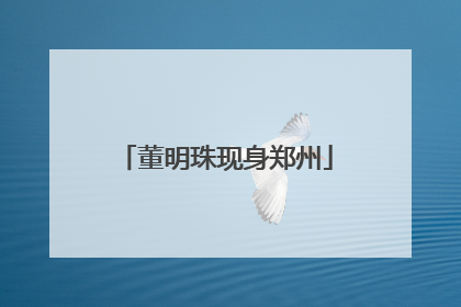 董明珠现身郑州