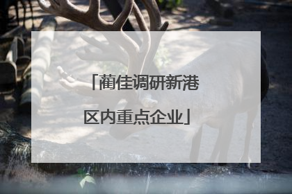 蔺佳调研新港区内重点企业