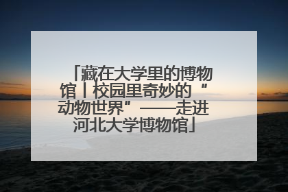 藏在大学里的博物馆丨校园里奇妙的“动物世界”——走进河北大学博物馆
