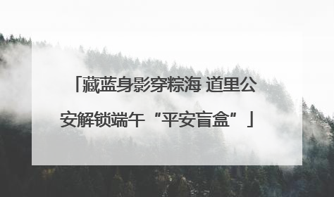 藏蓝身影穿粽海 道里公安解锁端午“平安盲盒”