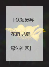 认领废弃花箱 共建绿色社区