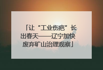 让“工业伤疤”长出春天——辽宁加快废弃矿山治理观察