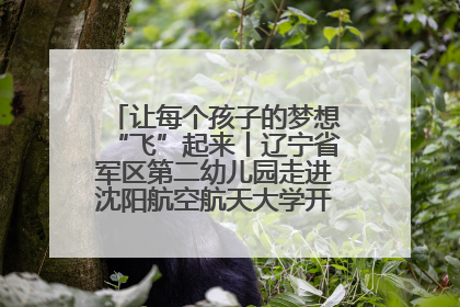 让每个孩子的梦想“飞”起来丨辽宁省军区第二幼儿园走进沈阳航空航天大学开展爱国主义教育