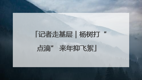 记者走基层｜杨树打“点滴” 来年抑飞絮
