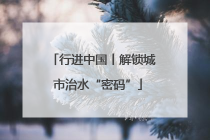 行进中国丨解锁城市治水“密码”