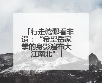 行走赣鄱看非遗：“希望岳家拳的身影遍布大江南北”