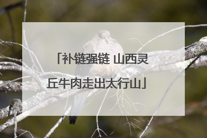 补链强链 山西灵丘牛肉走出太行山